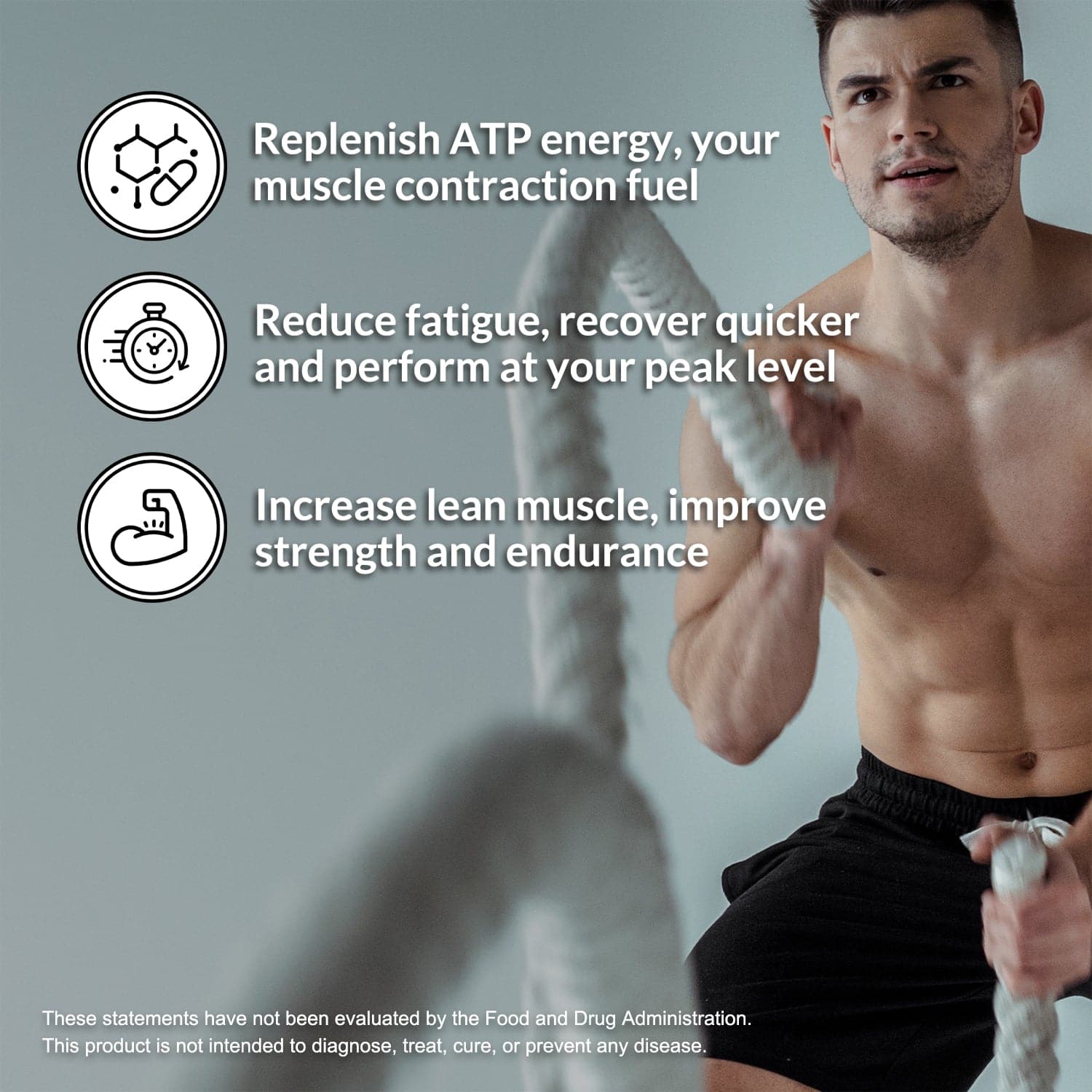 Strawberry Creatine Monohydrate Powder - Strawberry