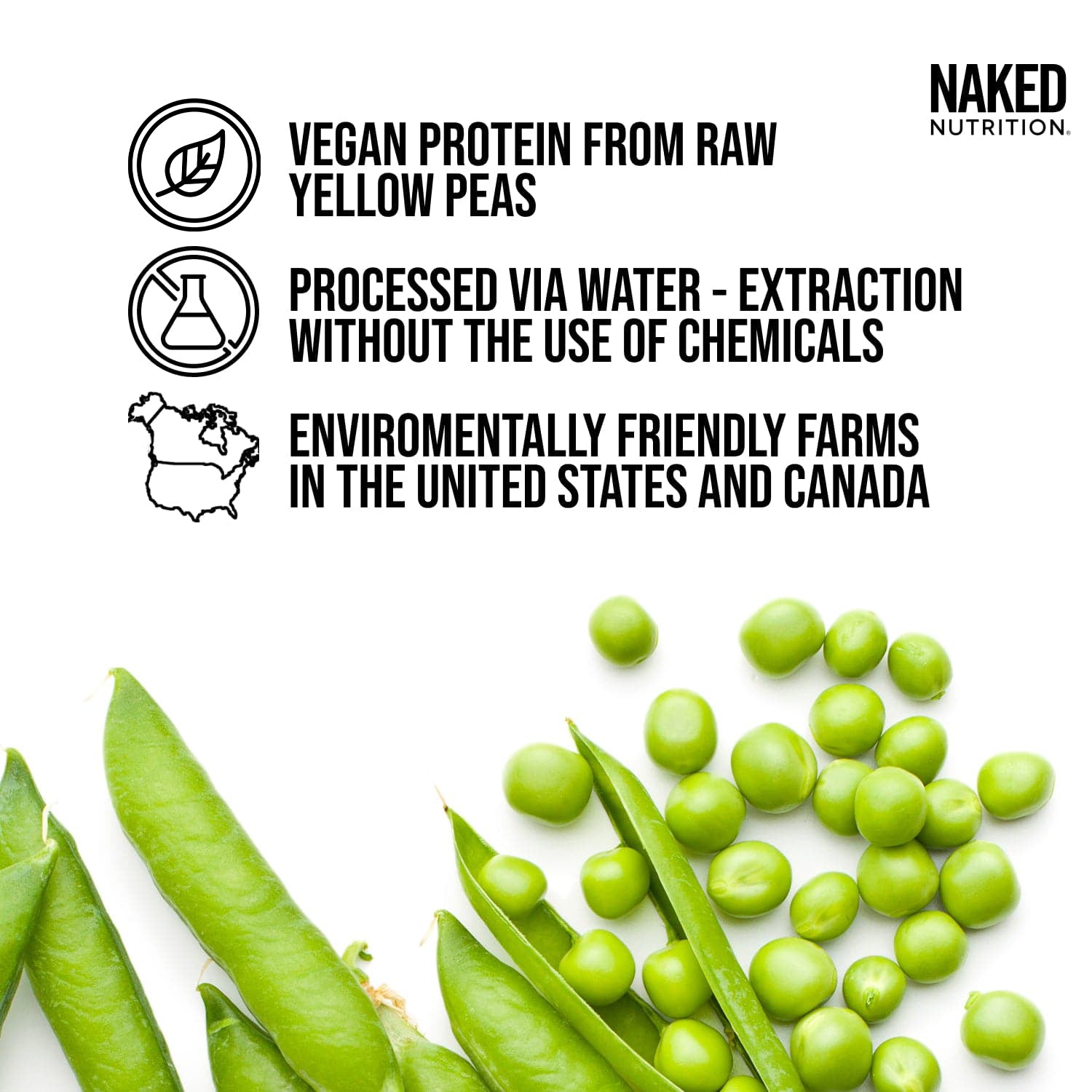 Chocolate Peanut Butter Pea Protein Powder - Chocolate PB