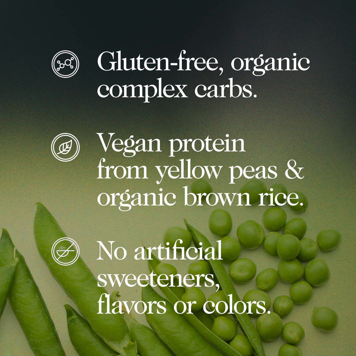 Double Chocolate Vegan Mass Gainer Supplement - Double Chocolate (Vegan)